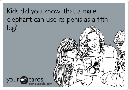 Kids did you know, that a male elephant can use its penis as a fifth leg?