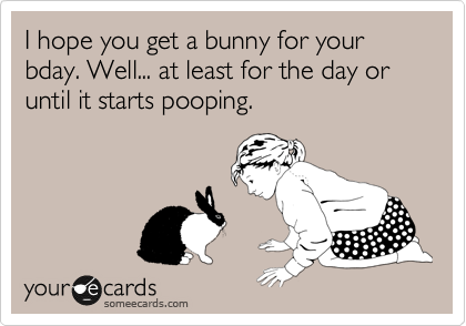 I hope you get a bunny for your bday. Well... at least for the day or until it starts pooping.  