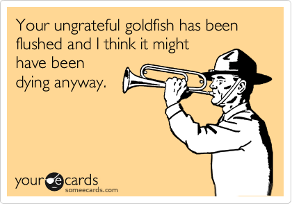 Your ungrateful goldfish has been flushed and I think it might
have been
dying anyway.