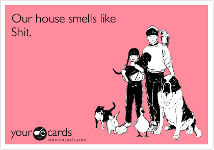 Our house smells like
Shit.