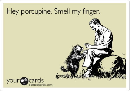 Hey porcupine. Smell my finger.