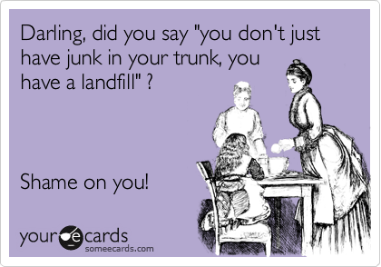Darling, did you say "you don't just have junk in your trunk, you
have a landfill" ?



Shame on you!