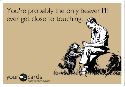 You're probably the only beaver I'll ever get close to touching.
