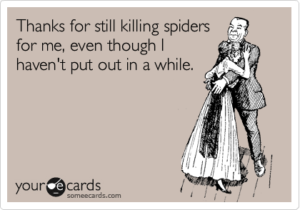 Thanks for still killing spiders
for me, even though I
haven't put out in a while.