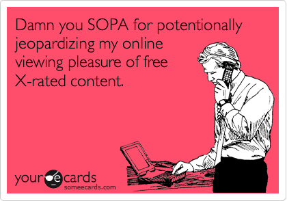 Damn you SOPA for potentionally jeopardizing my online
viewing pleasure of free
X-rated content.  