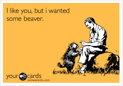 I like you, but i wanted 
some beaver.