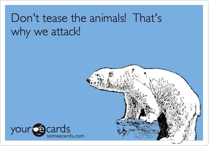 Don't tease the animals! That's why we attack! | Reminders Ecard