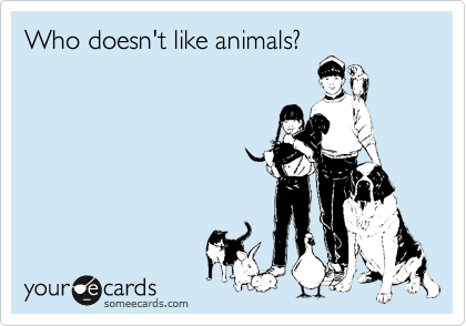 Who doesn't like animals?