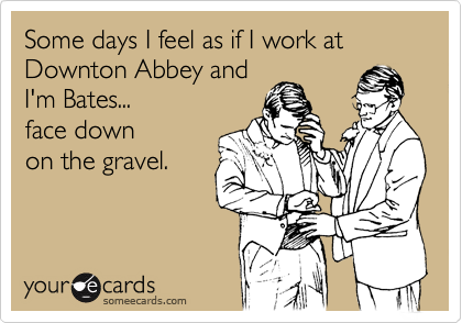 Some days I feel as if I work at  Downton Abbey and
I'm Bates... 
face down 
on the gravel.