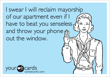 I swear I will reclaim mayorship 
of our apartment even if I 
have to beat you senseless
and throw your phone
out the window.