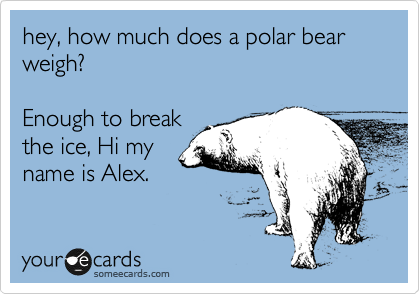 hey, how much does a polar bear weigh? Enough to break the ice, Hi my