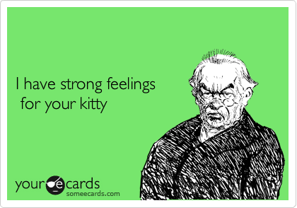 


I have strong feelings
 for your kitty