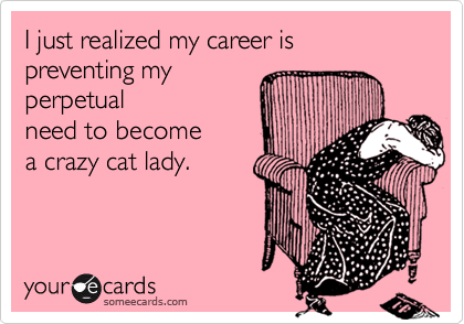 I just realized my career is preventing my
perpetual
need to become 
a crazy cat lady.