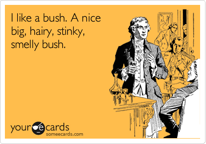 I like a bush. A nice 
big, hairy, stinky, 
smelly bush.