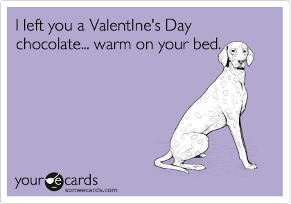 I left you a ValentIne's Day chocolate... warm on your bed.