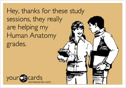 Hey, thanks for these study sessions, they really
are helping my
Human Anatomy
grades.