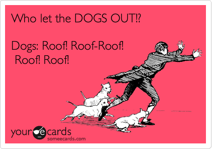 Who let the DOGS OUT!?

Dogs: Roof! Roof-Roof!
 Roof! Roof!