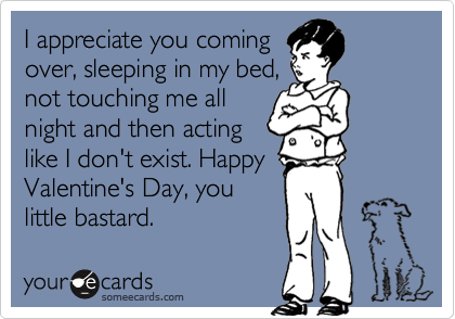 I appreciate you coming
over, sleeping in my bed,
not touching me all
night and then acting
like I don't exist. Happy 
Valentine's Day, you
little bastard. 
