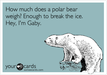 How much does a polar bear weigh? Enough to break the ice.
Hey, I'm Gaby.