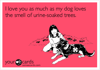 I love you as much as my dog loves the smell of urine-soaked trees.