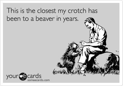 This is the closest my crotch has been to a beaver in years.