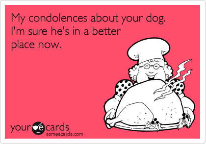 My condolences about your dog. 
I'm sure he's in a better
place now.