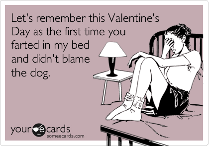 Let's remember this Valentine's
Day as the first time you
farted in my bed
and didn't blame
the dog.