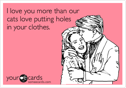 I love you more than our
cats love putting holes
in your clothes. 
