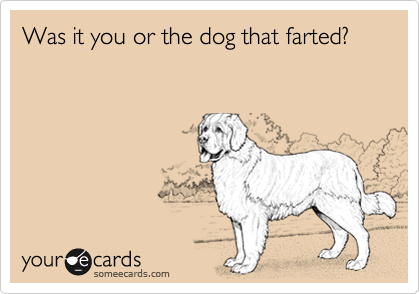 Was it you or the dog that farted?