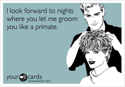 I look forward to nights
where you let me groom
you like a primate.