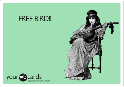     
      FREE BIRD!!!