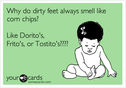 Why do dirty feet always smell like corn chips? 

Like Dorito's,
Frito's, or Tostito's????