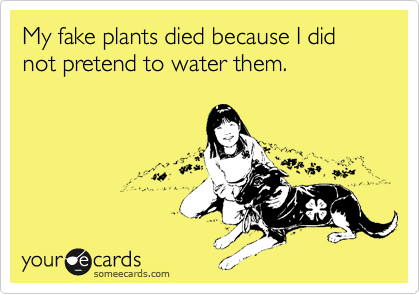 My fake plants died because I did not pretend to water them.