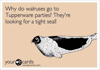 Why do walruses go to Tupperware parties? They're looking for a tight seal!
