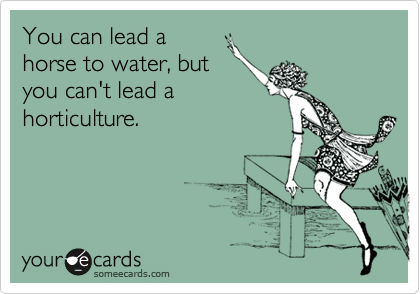 You can lead a
horse to water, but
you can't lead a
horticulture.