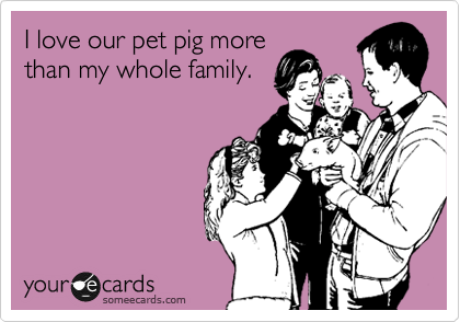 I love our pet pig more
than my whole family.