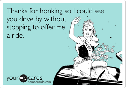 Thanks for honking so I could see
you drive by without
stopping to offer me
a ride.