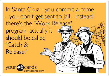In Santa Cruz - you commit a crime - you don't get sent to jail - instead there's the "Work Release" 
program, actually it 
should be called
"Catch &
Release."