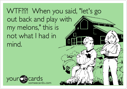 WTF?!?!  When you said, "let's go out back and play with
my melons," this is
not what I had in
mind.