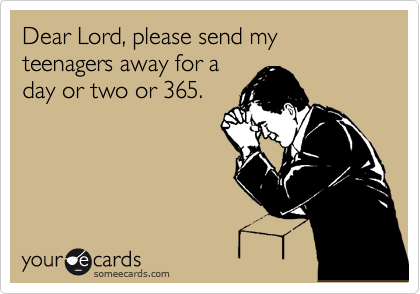 Dear Lord, please send my teenagers away for a
day or two or 365.
