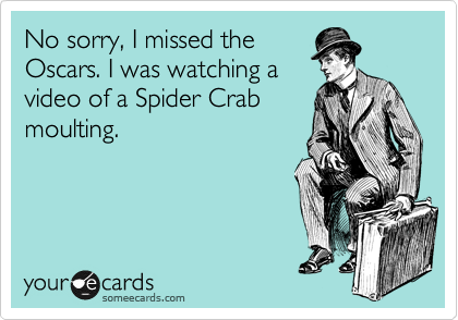 No sorry, I missed the
Oscars. I was watching a
video of a Spider Crab
moulting.