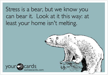 Stress is a bear, but we know you can bear it.  Look at it this way: at least your home isn't melting.