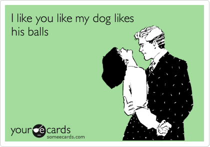 I like you like my dog likes
his balls