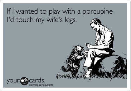 If I wanted to play with a porcupine I'd touch my wife's legs.