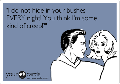 "I do not hide in your bushes EVERY night! You think I'm some kind of creep!?"