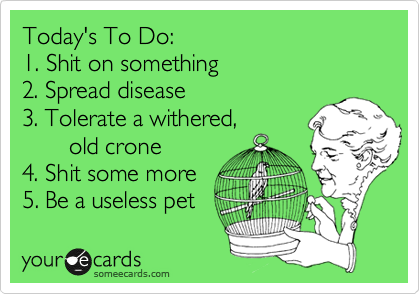 Today's To Do:
1. Shit on something
2. Spread disease
3. Tolerate a withered,
       old crone
4. Shit some more
5. Be a useless pet 