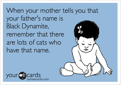 When your mother tells you that your father's name is
Black Dynamite,
remember that there
are lots of cats who
have that name.