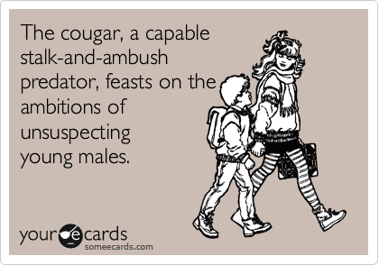 The cougar, a capable
stalk-and-ambush
predator, feasts on the
ambitions of
unsuspecting
young males.
