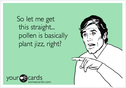 
     So let me get 
      this straight...
      pollen is basically
      plant jizz, right?