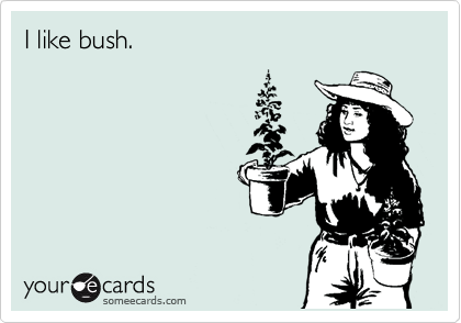 I like bush.